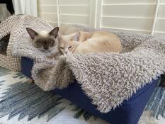 We both fit!
