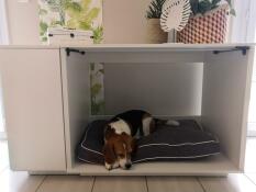 Dog sleeping in Omlet Fido Nook