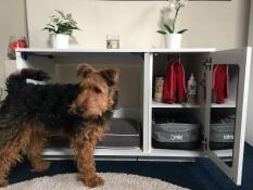 A brown and black dog with a Fido niche with a bed inside and a wardrobe attached