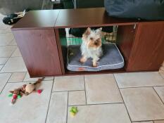 A dog in a Fido Studio sat on a grey dog bed