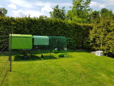 A large green chicken coop with a run and a cover over the top
