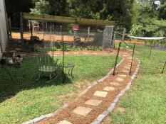 A gaden setup for chickens using chicken fencing.