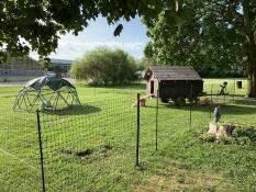 A wooden chicken coop behind chicken fencing with a Geodesic dome structure next to it