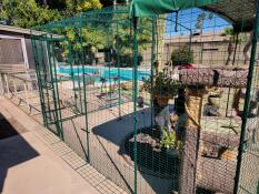 Catio attached to our patio by a homemade runway