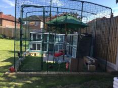 3 incredibly happy guinea pigs, and one extremely happy guinea pig owner. literally couldn’t be happier with this amazing cage which makes me feel like they are so much safer! 