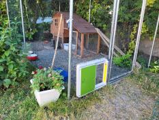Automatic door for poultry houses