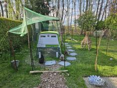 Chicken coop