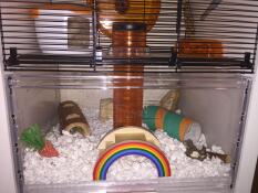 The bottom half of a Qute hamster and gerbil cage with lots of toys and accessories to play with