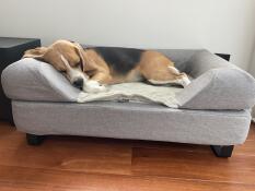Mia fully enjoys her Luxe bed!
