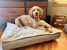 A dog laying on his gray bed with quilted topper