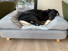 A dog sleeping on a memory foam bolster bed