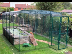 Fantastic home for little carling.