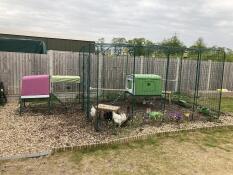 Recently extended to include an additional coop