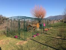 A large walk in run with a wooden chicken coop inside and feeders attached