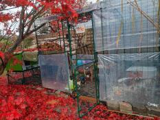 Autumn atmosphere, it's nice and cosy in our aviary 