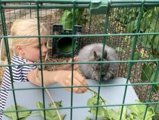 A girl playing with rabbits in a rabbit run