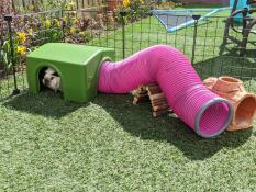 Ramp it up!