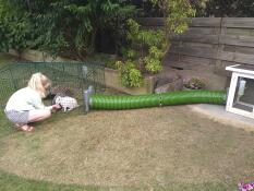 Our rabbits love to run around in it! handy that you can easily connect the tunnel to it.