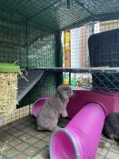 Checking out their new house