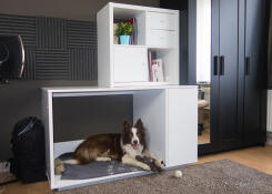 A white Fido niche dog bed with a wardrobe attached and with a large brown and white dog inside