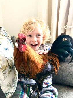 Arthur and Boris the Bantam