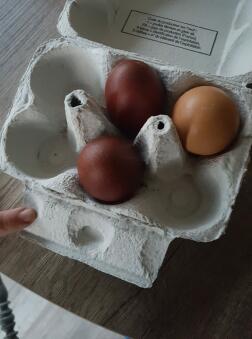 Eggs in egg box