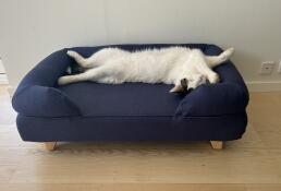 Such a beautiful and cosy bed that our male cat loves. can only recommend this bed