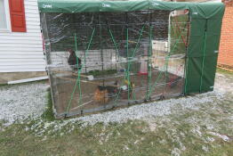 An Omlet walk in chicken run with perches.