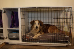 Dog crate