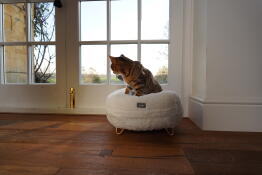 Loving the Omlet donut cat bed! 