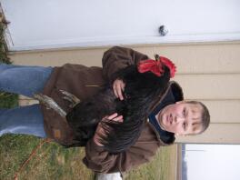 Guy holding rooster