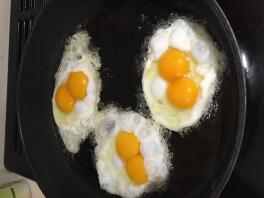 Eggs from our 24 week old Barred Rock :)