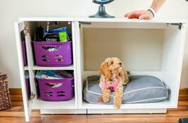 A puddle laying on a Fido Classic inside a Fido Studio with wardrobe