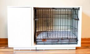 A Fido Studio with a wardrobe and cage