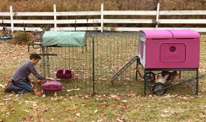 Child with Omlet purple Eglu Cube large chicken coop and run in the garden