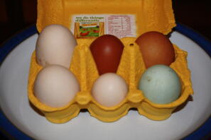 6 beautiful eggs