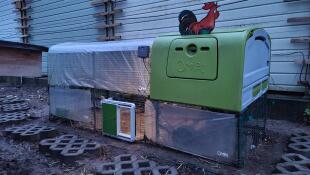 Green Eglu Cube large chicken coop and run with Omlet green automatic chicken coop door