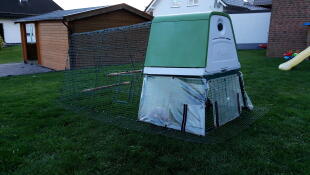 Omlet green Eglu Go up raised chicken coop and run in the garden