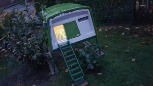 Omlet green Eglu Cube large chicken coop with coop light on