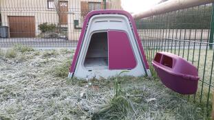 A pink chicken coop and feeder in a frozen wintery garden