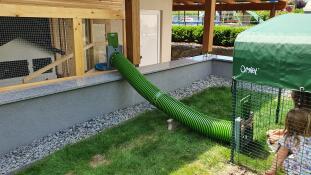 A Zippi rabbit connection tube joining a rabbit hutch to a rabbit run.