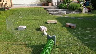 Outdoor enclosure for guinea pigs