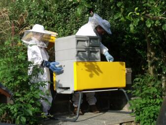 Beehaus in sunny yellow, in the Rossendale Valley