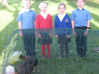 Regan, April, Reyhan, Brandyn with chickens