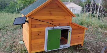 Omlet green automatic chicken coop door attached to wooden chicken coop