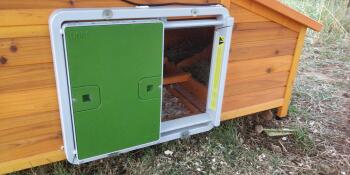 Omlet green automatic chicken coop door attached to wooden chicken coop