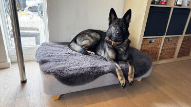 Bed is size l, dog is grey german shepherd bitch almost two years old, she loves her bed.