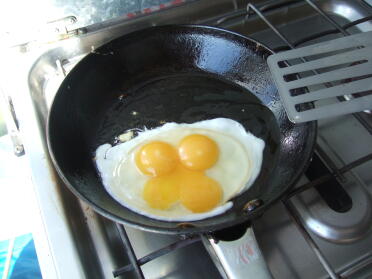 A triple yoker from our hens