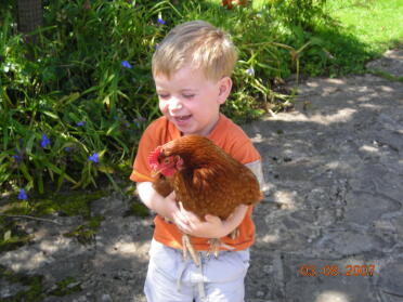 Teddy holding his hen Rosiepop for the first time.