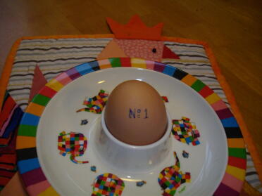 The first egg from Hannah or Peppi!